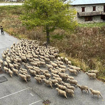 Les Terrasses De Labrau Appartamento *
