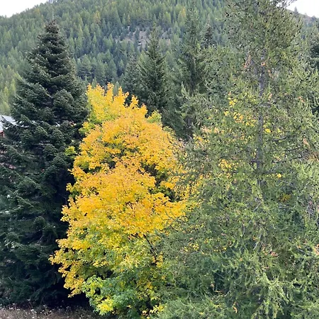 Les Terrasses De Labrau Appartamento